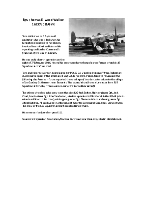 A preview of a PDF biography for Walker, Thomas Ellwood